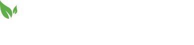 Paleovalley
